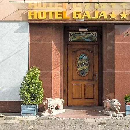 Gaja Hotel 3*